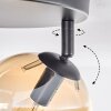 Koyoto Plafondlamp, Kogellampje Amber, Duidelijk, Rookkleurig, 3-lichts