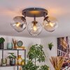 Koyoto Plafondlamp, Kogellampje Amber, Duidelijk, Rookkleurig, 3-lichts