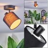 Bassagoda Plafondlamp, Plafondspot Zwart, 1-licht