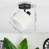 Bassagoda Plafondlamp, Plafondspot Zwart, 1-licht