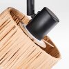 Granja Plafondlamp, Plafondspot Zwart, 1-licht