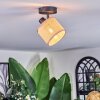Sabadim Plafondlamp, Plafondspot Zwart, 1-licht