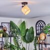 Sabadim Plafondlamp, Plafondspot Zwart, 1-licht