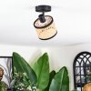 Ramila Plafondlamp, Plafondspot Zwart, 1-licht