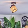 Ramila Plafondlamp, Plafondspot Zwart, 1-licht