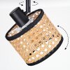 Ramila Plafondlamp, Plafondspot Zwart, 1-licht
