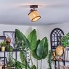 Ramila Plafondlamp, Plafondspot Zwart, 1-licht