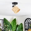 Cavaca Plafondlamp, Plafondspot Zwart, 1-licht