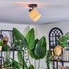 Cavaca Plafondlamp, Plafondspot Zwart, 1-licht