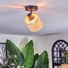 Cavaca Plafondlamp, Plafondspot Zwart, 1-licht
