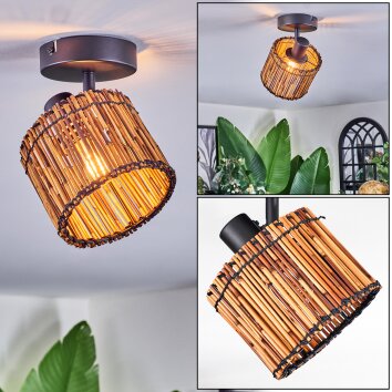 Cando Plafondlamp, Plafondspot Zwart, 1-licht