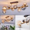 Chehalis Plafondlamp, Kogellampje Goud, Zwart, 8-lichts