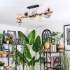 Chehalis Plafondlamp, Kogellampje Goud, Zwart, 8-lichts
