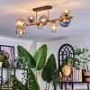 Chehalis Plafondlamp, Kogellampje Goud, Zwart, 8-lichts