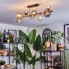 Chehalis Plafondlamp, Kogellampje Goud, Zwart, 8-lichts