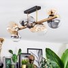 Chehalis Plafondlamp, Kogellampje Goud, Zwart, 8-lichts