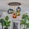 Ripoll Plafondlamp, Kogellampje Messing, Zwart, 5-lichts Ripoll Plafondlamp, Kogellampje Messing, Zwart, 5-lichts