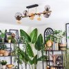 Chehalis Plafondlamp, Kogellampje Goud, Zwart, 8-lichts