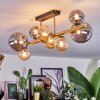 Chehalis Plafondlamp, Kogellampje Goud, Zwart, 8-lichts