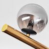 Chehalis Plafondlamp, Kogellampje Goud, Zwart, 8-lichts