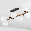 Chehalis Plafondlamp, Kogellampje Goud, Zwart, 8-lichts