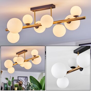 Chehalis Plafondlamp, Kogellampje Goud, Zwart, 8-lichts