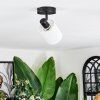 Fallhagen Plafondlamp, Plafondspot Zwart, 1-licht