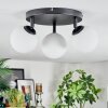 Chehalis Plafondlamp, Kogellampje Wit, 3-lichts
