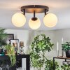 Chehalis Plafondlamp, Kogellampje Wit, 3-lichts
