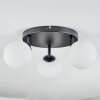 Chehalis Plafondlamp, Kogellampje Wit, 3-lichts
