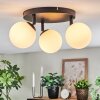 Chehalis Plafondlamp, Kogellampje Wit, 3-lichts
