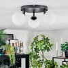 Chehalis Plafondlamp, Kogellampje Wit, 3-lichts
