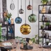 Ripoll Hanglamp, Kogellampje, Hanglamp Blauw, Chroom, Goud, Groen, Koperkleurig, Rookkleurig, 5-lichts