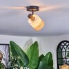 Fallhagen Plafondlamp, Plafondspot Zwart, 1-licht