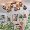Koyoto Plafondlamp, Kogellampje Goud, Zwart, 10-lichts