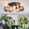Chehalis Plafondlamp, Kogellampje Amber, Rookkleurig, 4-lichts