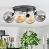 Chehalis Plafondlamp, Kogellampje Amber, Rookkleurig, 4-lichts
