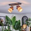 Fallhagen Plafondlamp, Plafondspot Zwart, 2-lichts