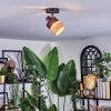 Fallhagen Plafondlamp, Plafondspot Zwart, 1-licht