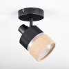 Fallhagen Plafondlamp, Plafondspot Zwart, 1-licht