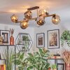 Koyoto Plafondlamp, Kogellampje Goud, Zwart, 10-lichts