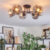 Ripoll Plafondlamp, Kogellampje Duidelijk, Rookkleurig, 6-lichts