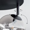 Chehalis Plafondlamp, Kogellampje Rookkleurig, 4-lichts