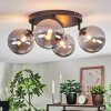 Chehalis Plafondlamp, Kogellampje Rookkleurig, 4-lichts