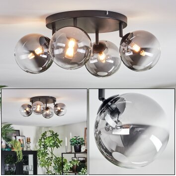 Chehalis Plafondlamp, Kogellampje Duidelijk, Rookkleurig, 4-lichts