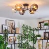 Ripoll Plafondlamp, Kogellampje Amber, Duidelijk, Rookkleurig, 6-lichts