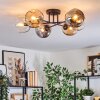Ripoll Plafondlamp, Kogellampje Amber, Duidelijk, Rookkleurig, 6-lichts