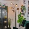Koyoto Kogellampje, Staande lamp Amber, Duidelijk, Rookkleurig, 5-lichts