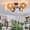Ripoll Plafondlamp, Kogellampje Amber, Duidelijk, Rookkleurig, 6-lichts