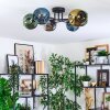 Ripoll Plafondlamp, Kogellampje Blauw, Chroom, Goud, Groen, Rookkleurig, 6-lichts